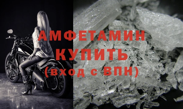 ECSTASY Бородино