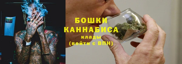 ECSTASY Бородино