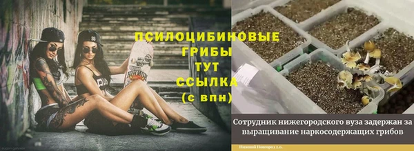 кокаин VHQ Богданович