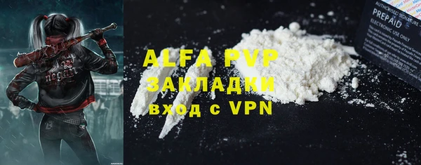 ECSTASY Бородино